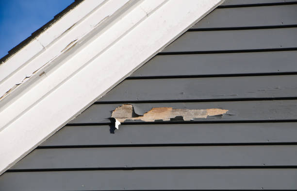 Best Shed Removal  in Cherokee, IA